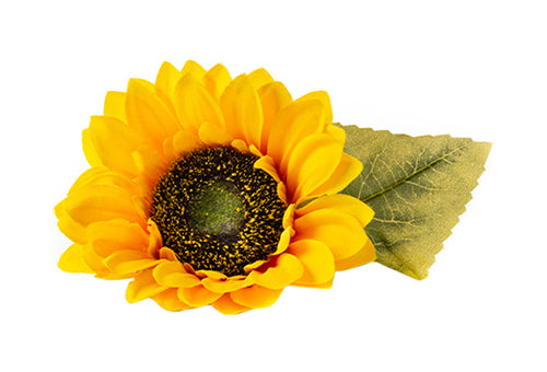 Sonnenblumenöl